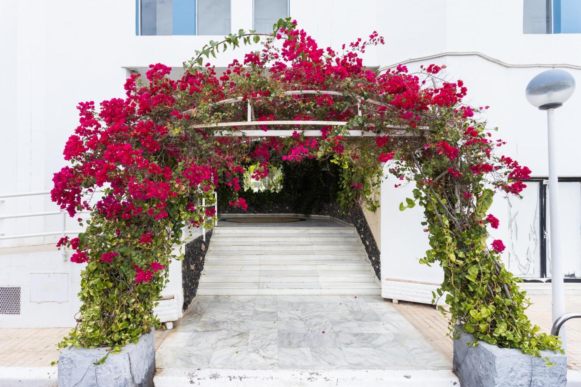 Estudio Alma San Miguel de Abona Ngoại thất bức ảnh